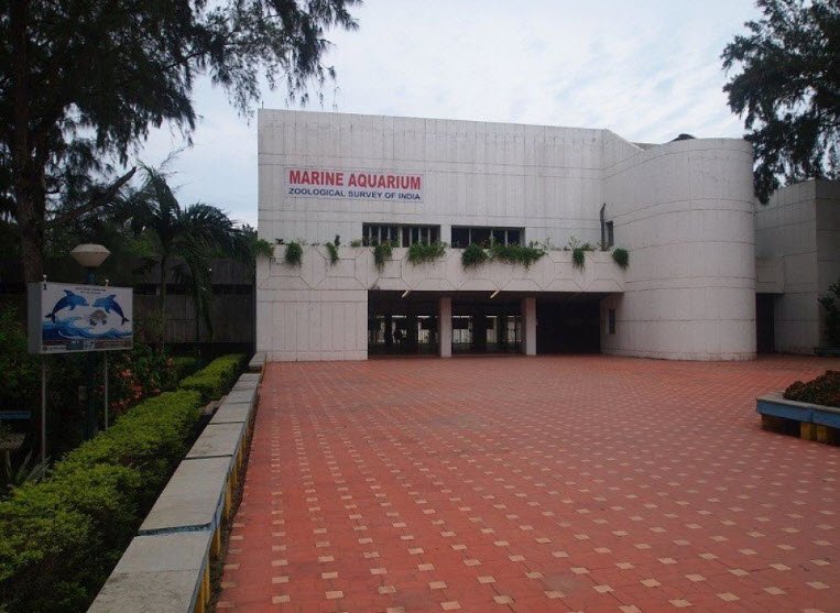MARC Aquarium, Purba Medinipur (East Medinipur), West Bengal - Vushii.com